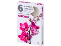 Teamécses 6db Orchid illatgyertyák