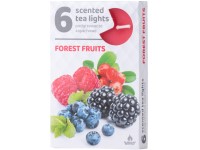 Teamécses 6db forest fruits illatgyertyák