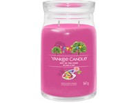 YANKEE CANDLE ART IN THE PARK SIGNATURE NAGY