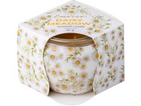 Emocio üvegbe töltött illatgyertya Daisy Meadow Dekor 70x62mm