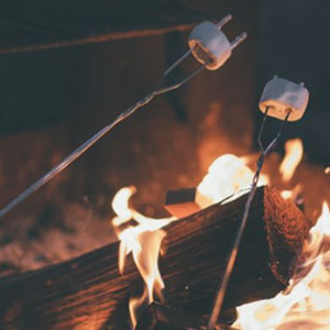 Fireside