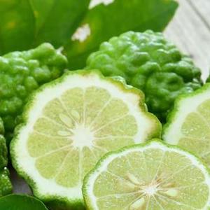 Mediterranean Bergamot