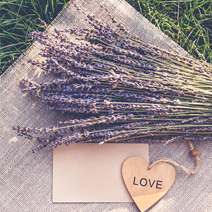Lavender & Cedar