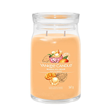 Mango Ice Cream