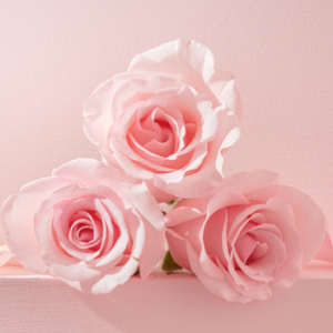 Lychee Rose