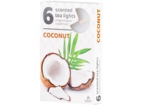 Teamécses 6 db coconut illatgyertyák