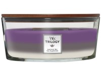 WoodWick Trilogy Amethyst Sky Hajó gyertya