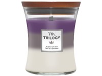WoodWick Trilogy Amethyst Sky Közepes Üveg