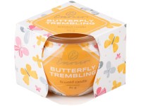Emocio Üveg Dekoráció 70x62 mm Butterfly Trembling, illatgyertya - Spr