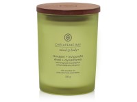 ILLATGYERTYA CHESAPEAKE BAY CANDLE AWAKEN & INVIROGATE KÖZEPES