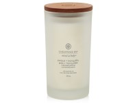 ILLATGYERTYA CHESAPEAKE BAY CANDLE PEACE & TRANQUILITY NAGY