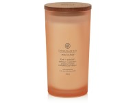 ILLATGYERTYA CHESAPEAKE BAY CANDLE LOVE & PASSION NAGY