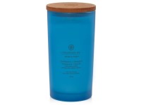 ILLATGYERTYA CHESAPEAKE BAY CANDLE CONFIDENCE & FREEDOM NAGY