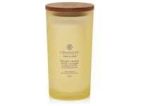ILLATGYERTYA CHESAPEAKE BAY CANDLE STRENGTH & ENERGY NAGY