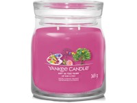 YANKEE CANDLE ART IN THE PARK SIGNATURE KÖZEPES