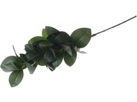 Umelé kvety, plast eukalyptus, zelená