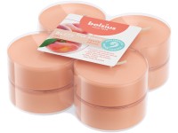 Bolsius Aromatic 2.0 Tea Maxi 8db Peach, illatgyertyaa