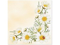 Szalvéta 20db, Bunch of Marguerites 33x33 cm