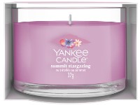 YANKEE CANDLE ÜVEGBE TÖLTÖTT MINTAGYERTYA SUMMIT STARGAZING