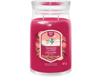 YANKEE CANDLE SANTA ON SKIS SIGNATURE NAGY