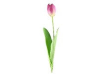 Művirágok, műanyag 400 mm-es tulipáncsokor 6 db, színmix