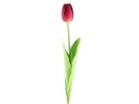 Művirágok, műanyag 400 mm-es tulipáncsokor 6 db, színmix