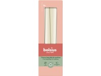 Bolsius Kónická 8ks 24x245 Soft Pearl sviečky, sl.kosť