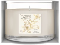 YANKEE CANDLE ÜVEGBE TÖLTÖTT MINTAGYERTYA SLOW BLOOM