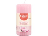 Bolsius Válec rýhovaný 58x120 mm True Scents Magnolia