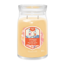 Slopeside Spritz