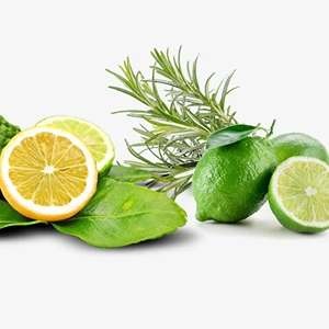 Lime & Vetiver